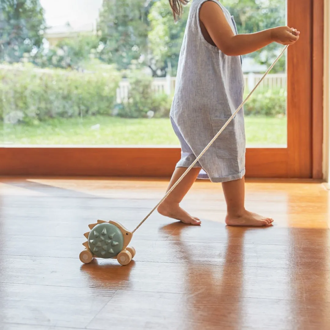 PlanToys Hérisson bleu jouet à tirer 12 mois