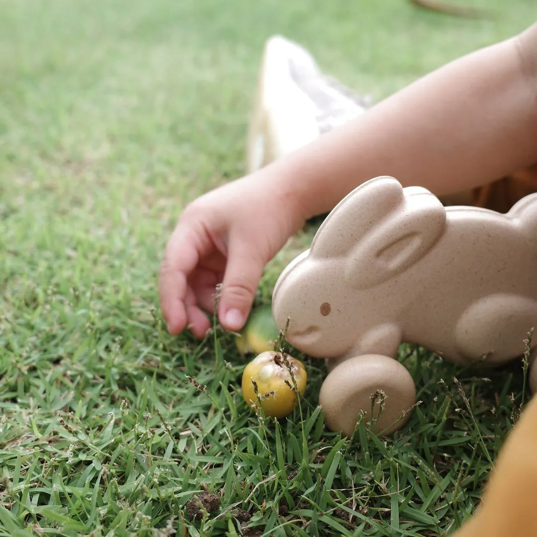 PlanToys Push Along Bunny lapin à pousser blanc