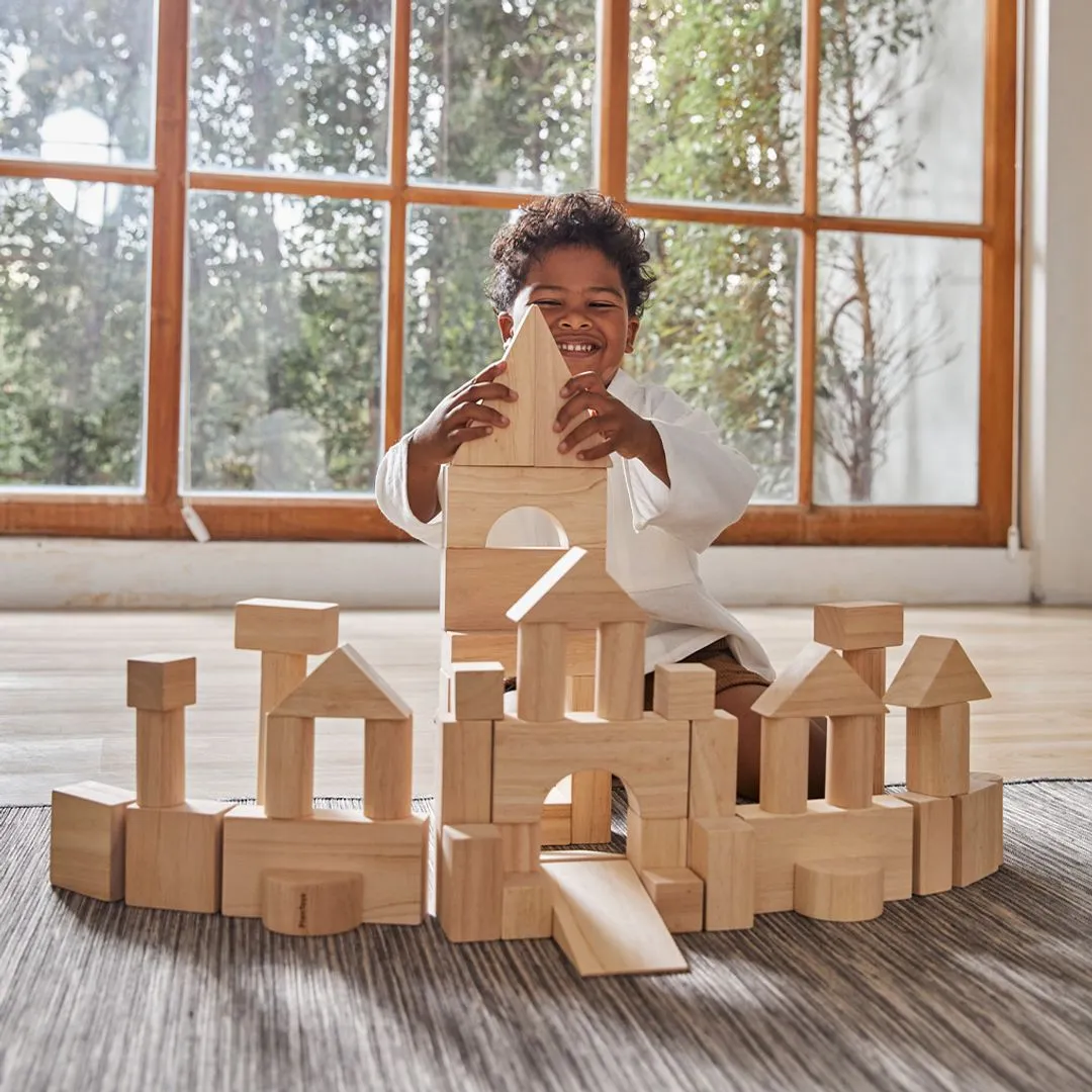PlanToys 50 Unit Blocks cubes construction bois 18 mois