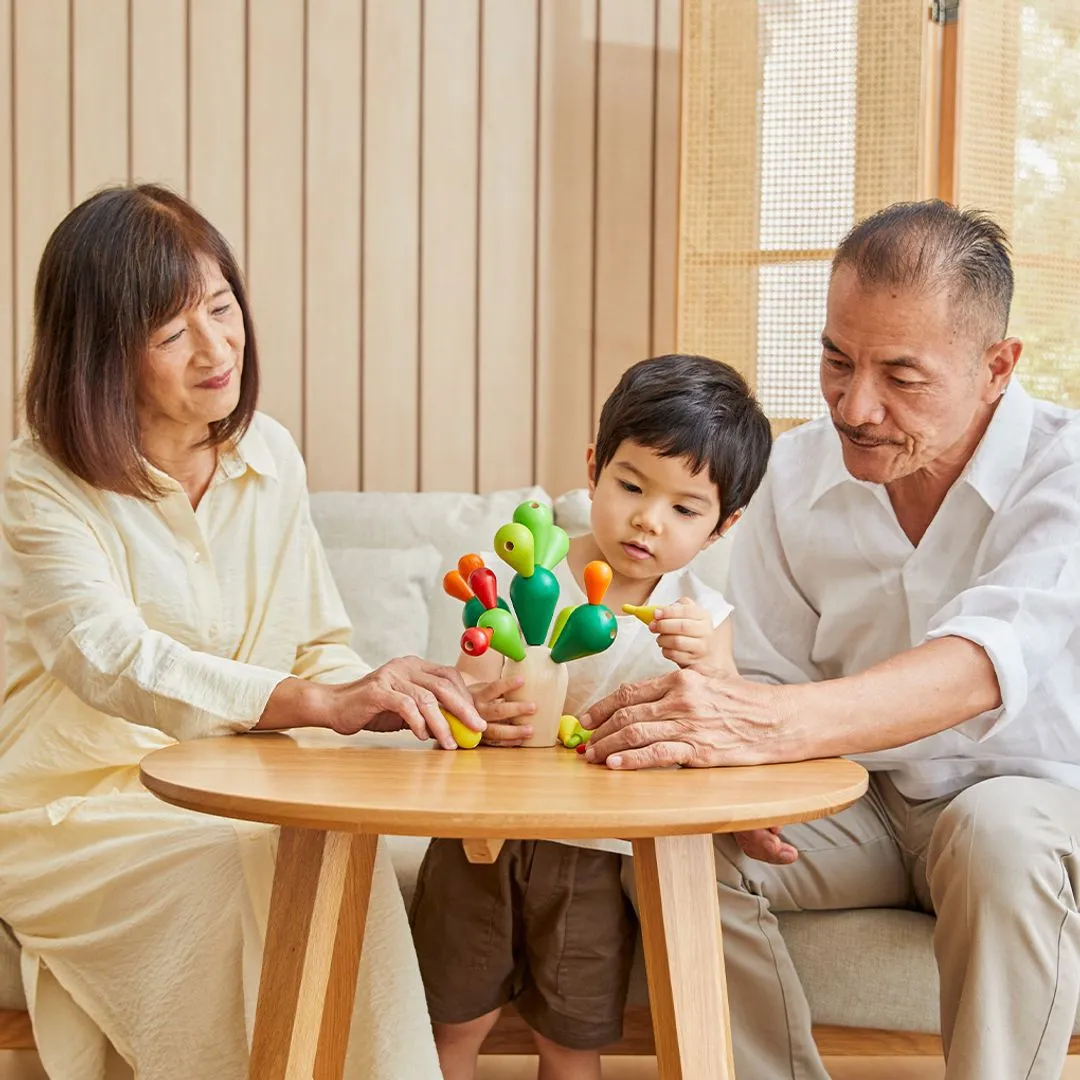 PlanToys Balancing Cactus jeu équilibre bois 3-99 ans