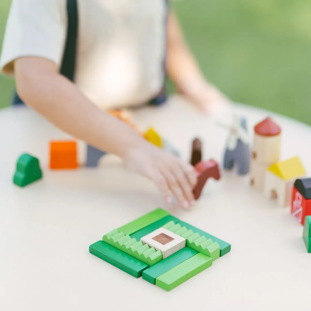 PlanToys Country Blocks blocs ferme bois 27 pièces