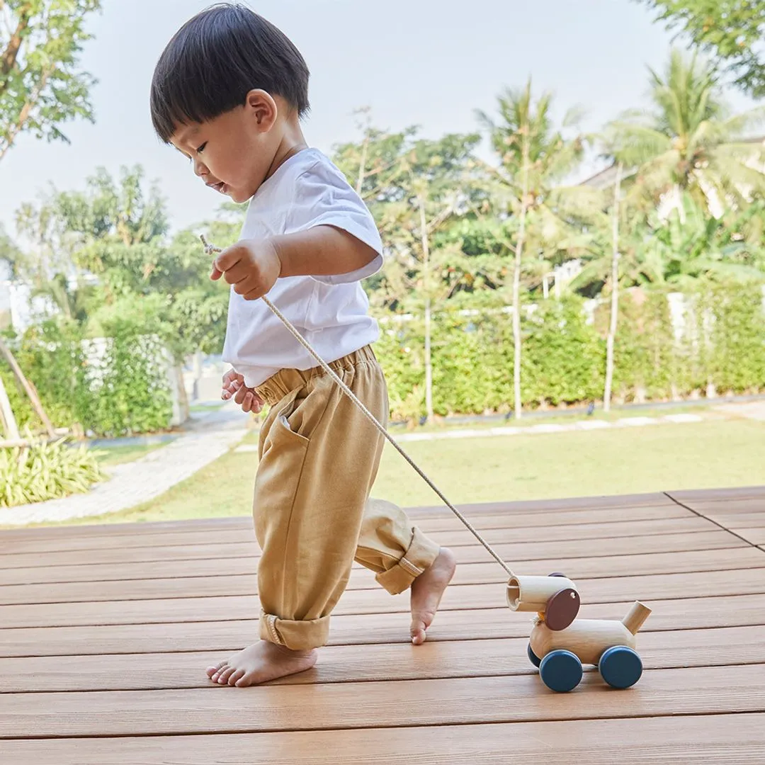 PlanToys Push & Pull Puppy jouet à tirer chien bois