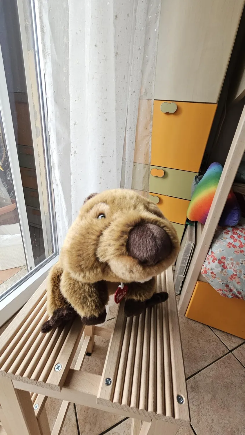 Trudi Sevi Castor Giuseppe peluche 30 cm lavable