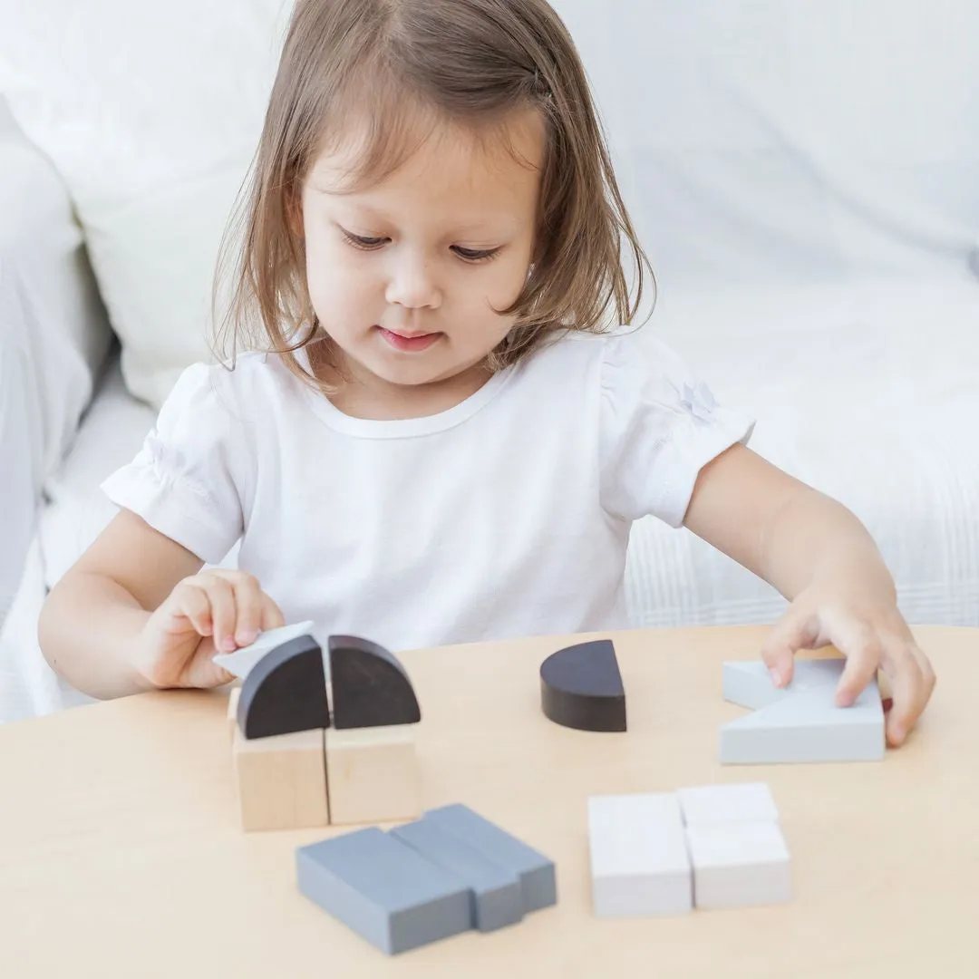 PlanToys Fraction Blocks blocs fractions géométrie 18 mois