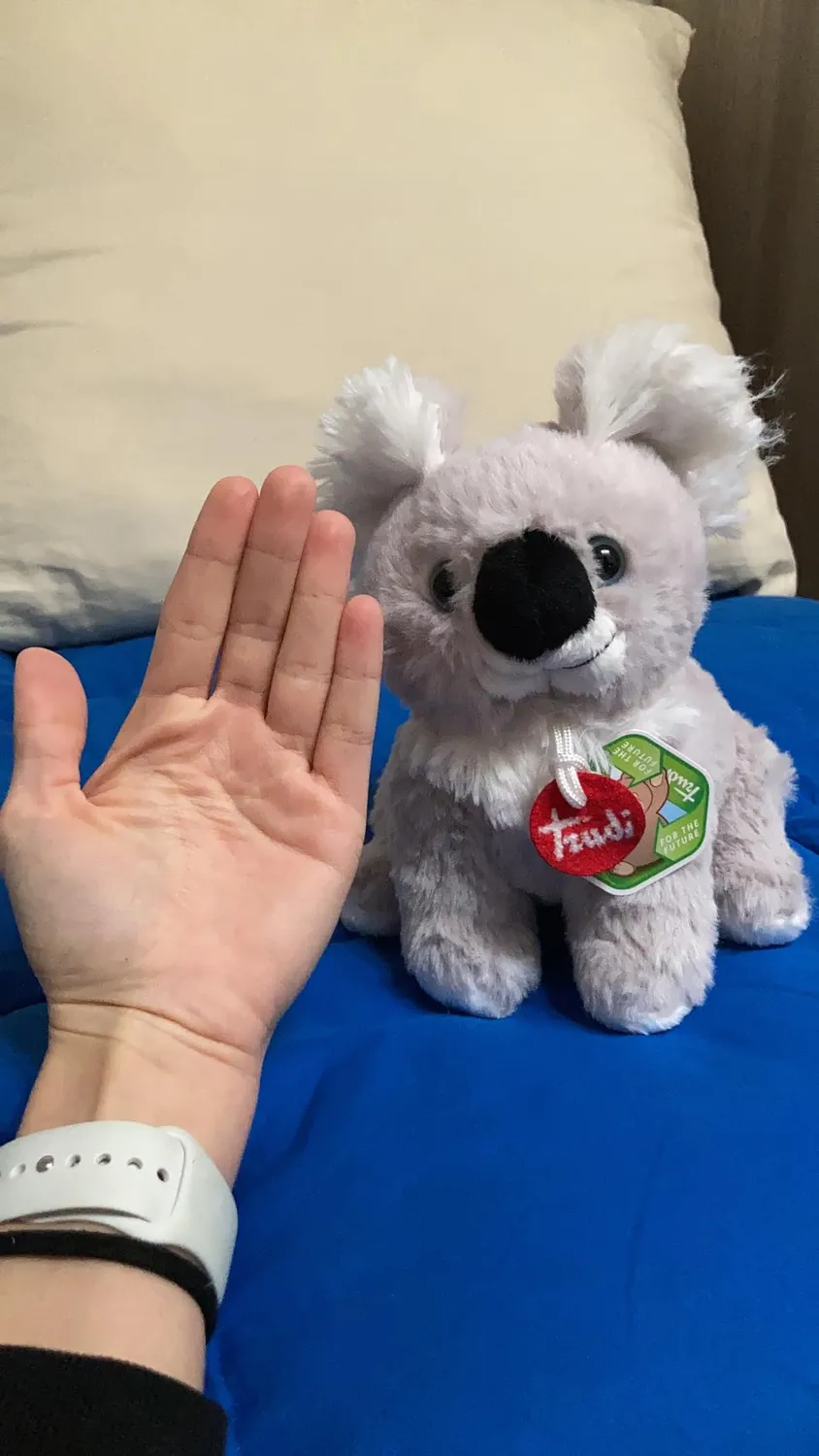 Trudi Puppies TUDO0000 peluche koala taille S 18 cm fourrure longue