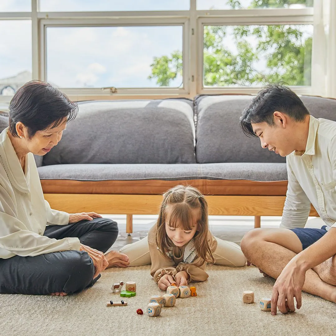 PlanToys Storytelling Dice dés histoire bois