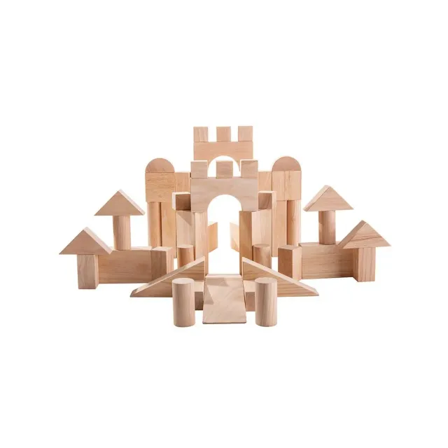PlanToys 50 Unit Blocks cubes construction bois 18 mois