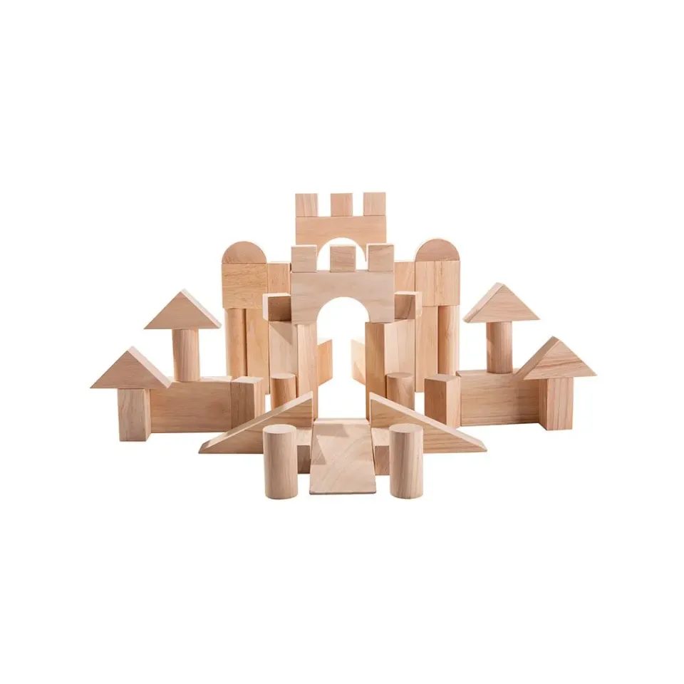 PlanToys 50 Unit Blocks cubes construction bois 18 mois