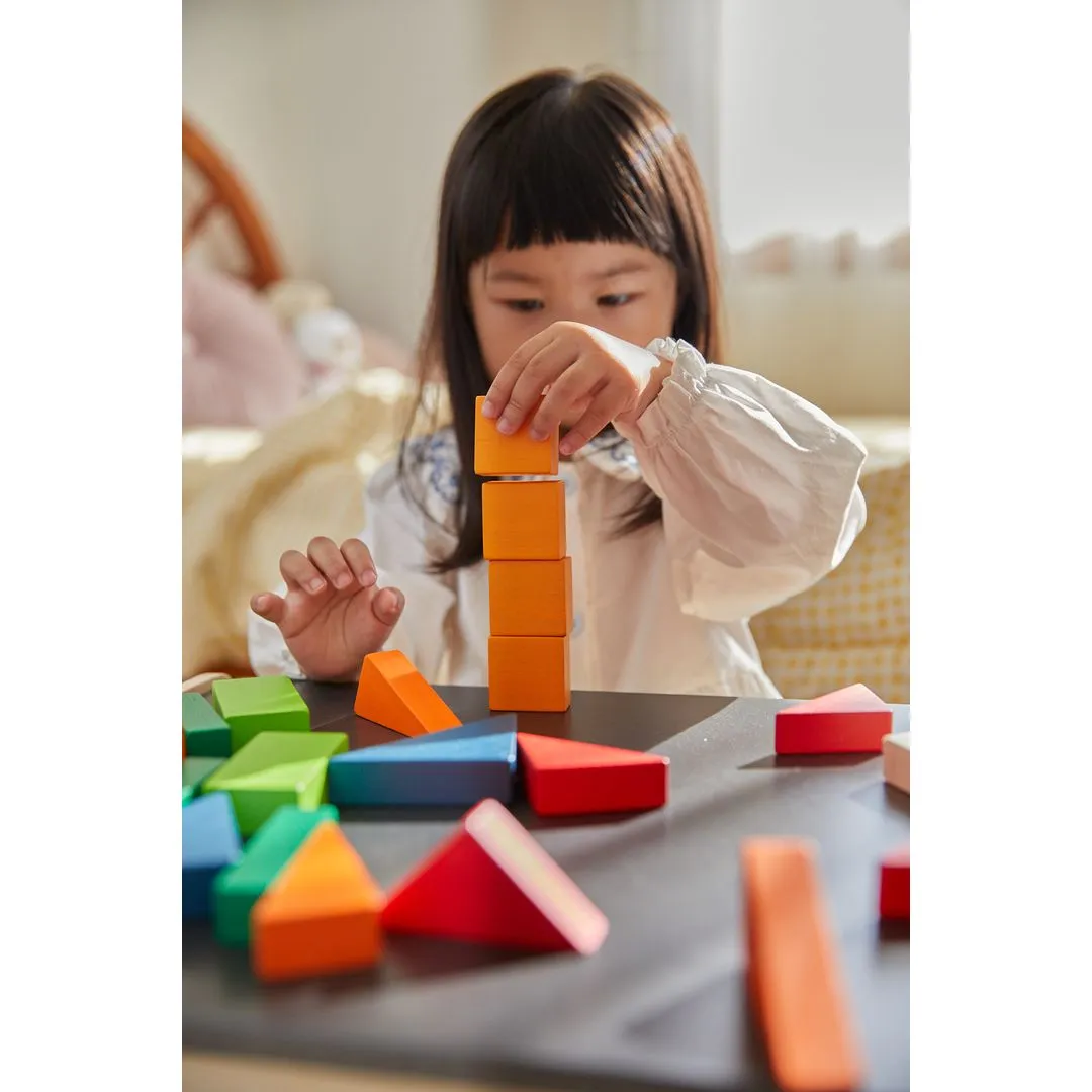 PlanToys Unit Plus Fraction Blocks jeu blocs bois 20 pièces