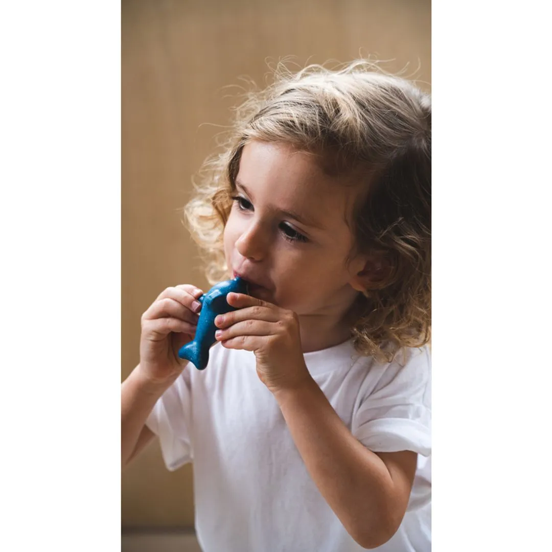 PlanToys Dolphin sifflet dauphin bois musical