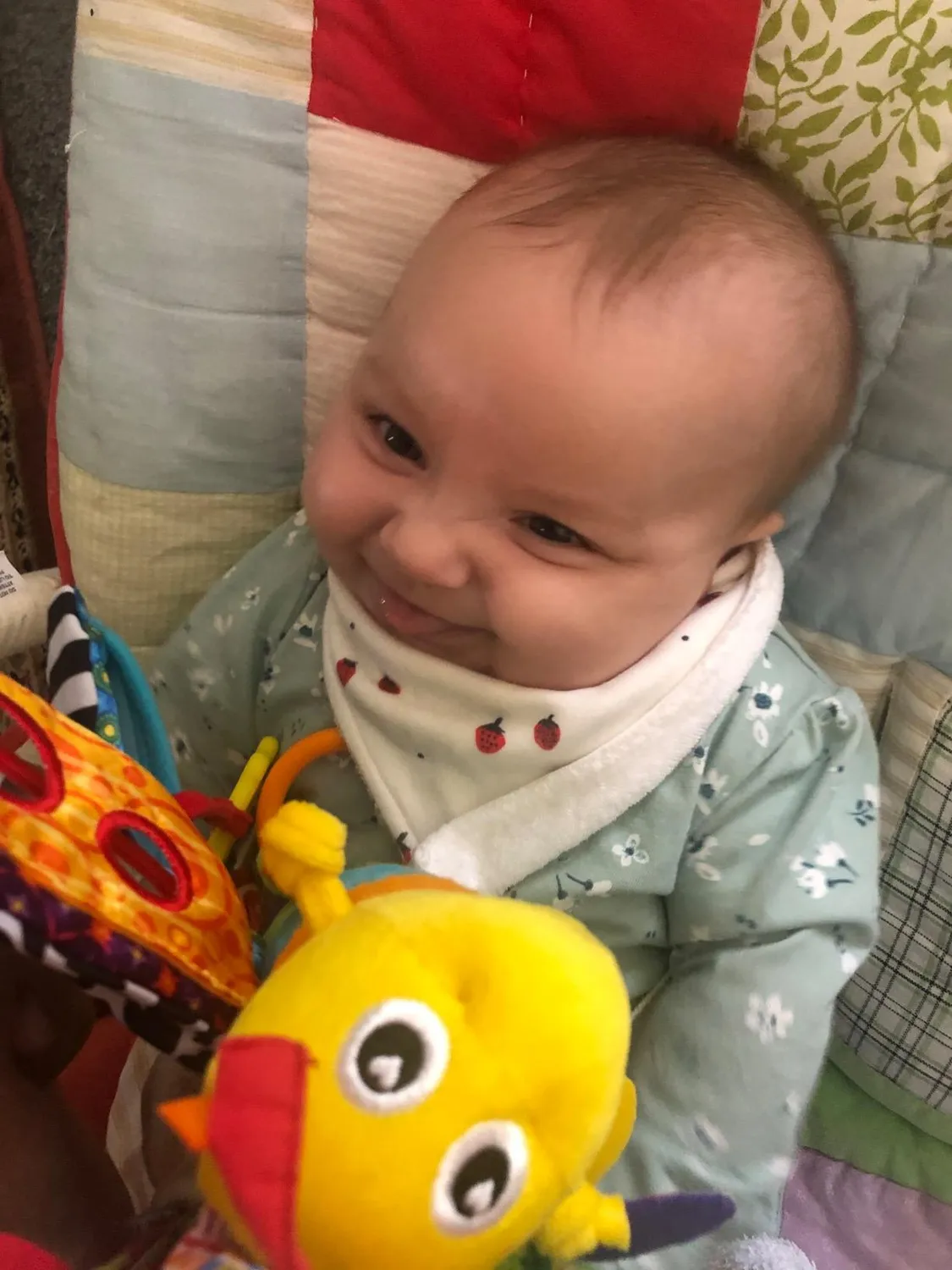 Tomy Lamaze Flip Flap Dragon peluche éveil naissance
