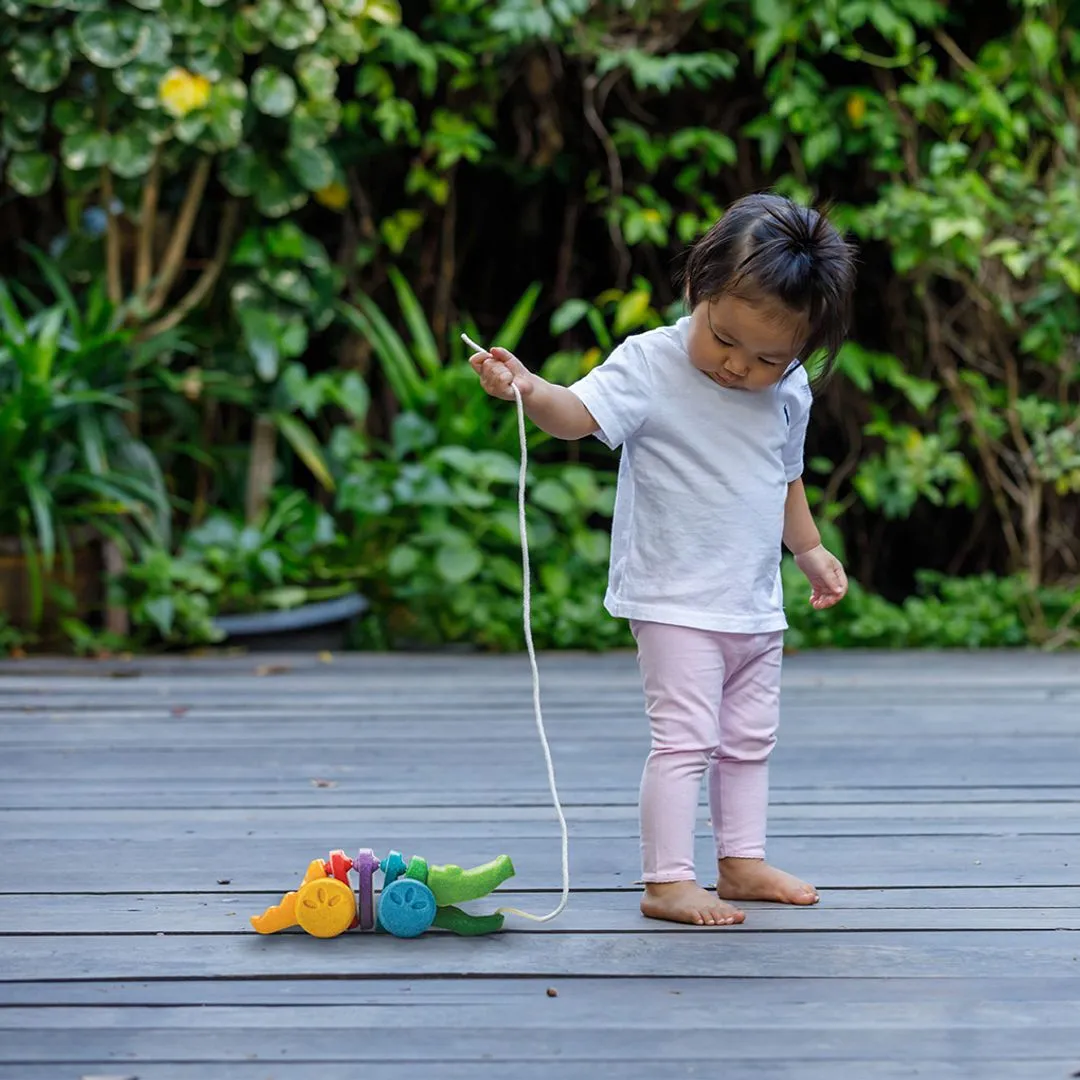 PlanToys Rainbow Alligator Jouet à Tirer Bois Multicolore