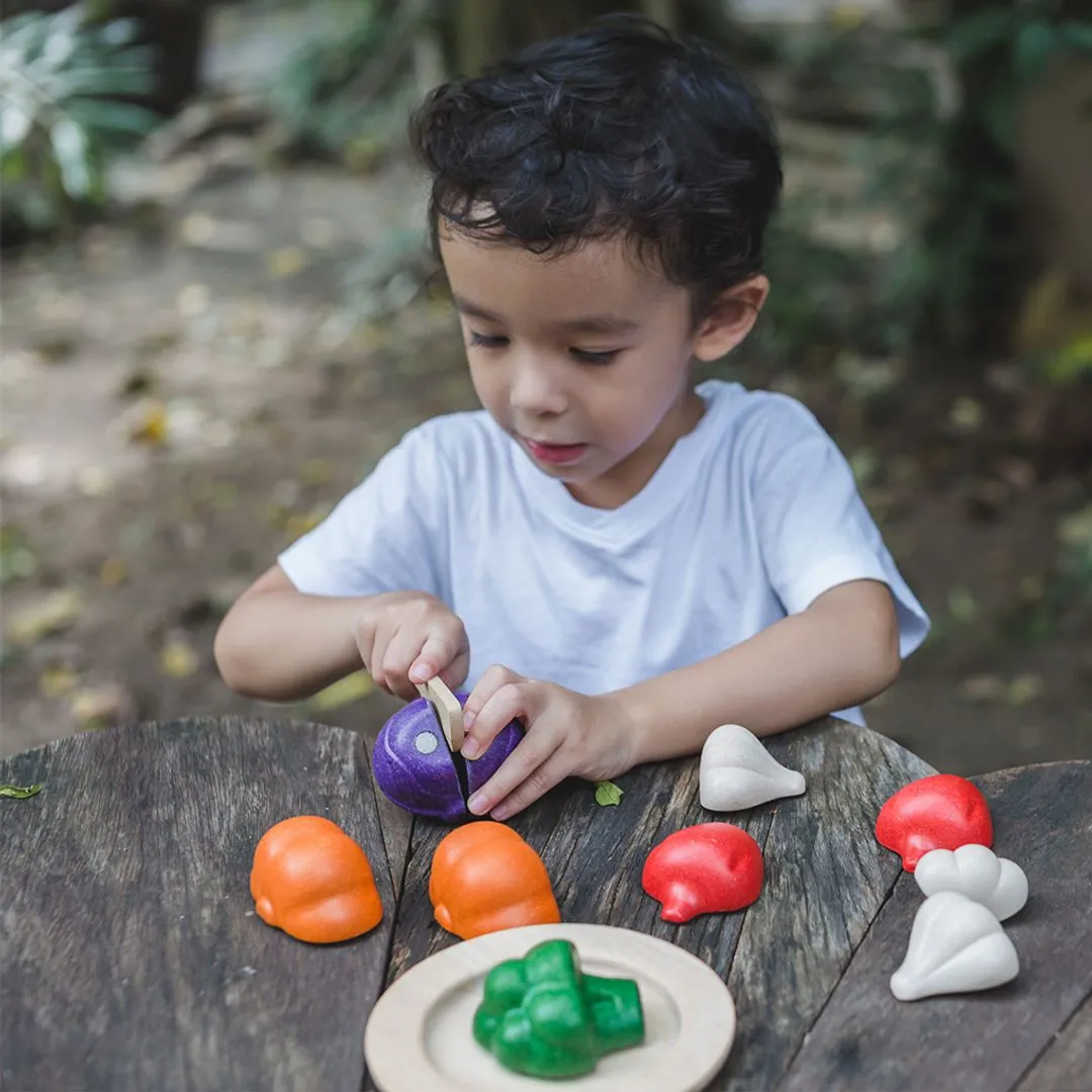 PlanToys Veggie dinette légumes à découper 5 couleurs