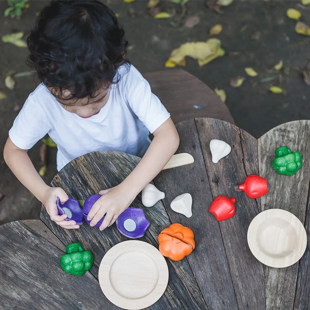 PlanToys Veggie dinette légumes à découper 5 couleurs