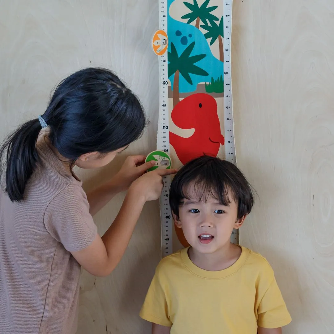 PlanToys Dino Height toise enfant 40-160 cm