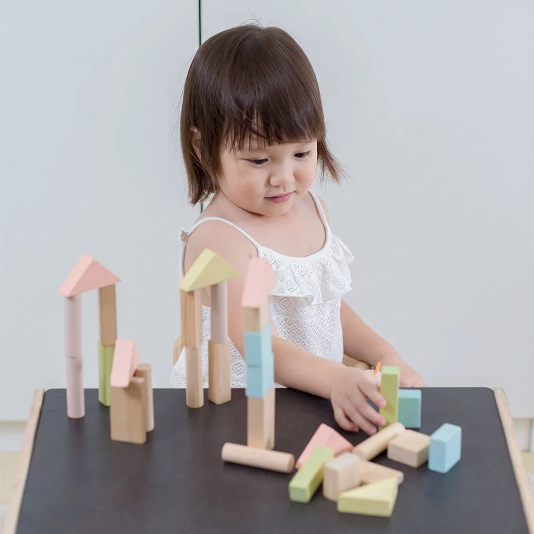PlanToys 40 Unit Blocks cubes construction 40 pastel