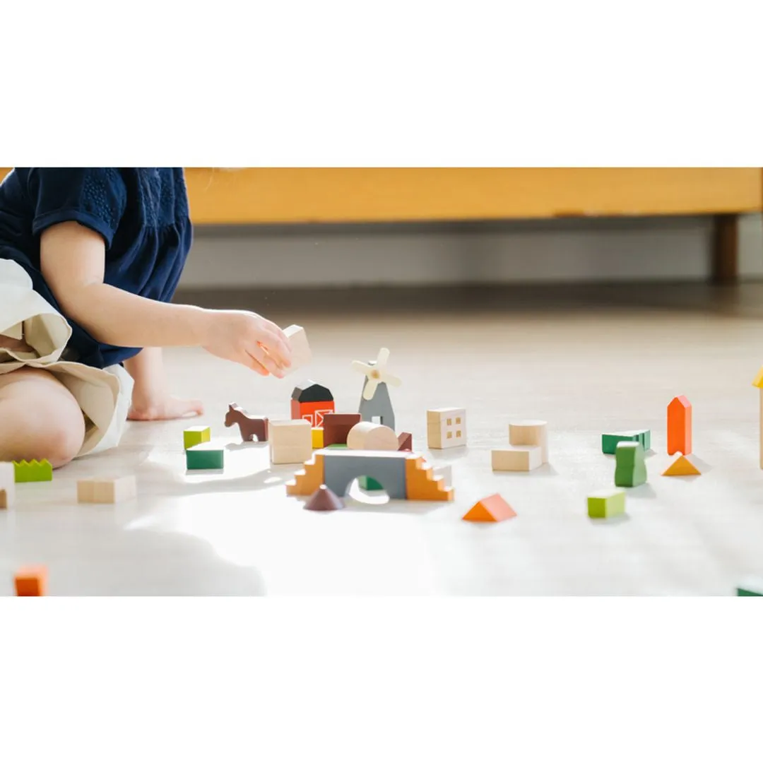 PlanToys Countryside Blocks cubes campagne 45 pièces