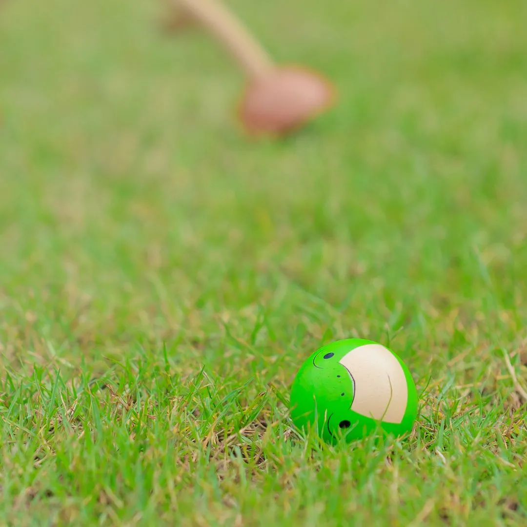 PlanToys Croquet jeu de croquet enfants animaux dès 3 ans