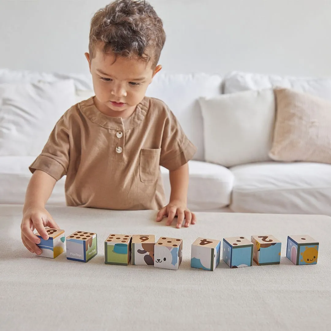 PlanToys Animal Puzzle Cubes puzzle bois 9 cubes