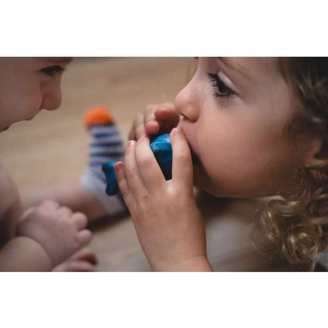 PlanToys Dolphin sifflet dauphin bois musical