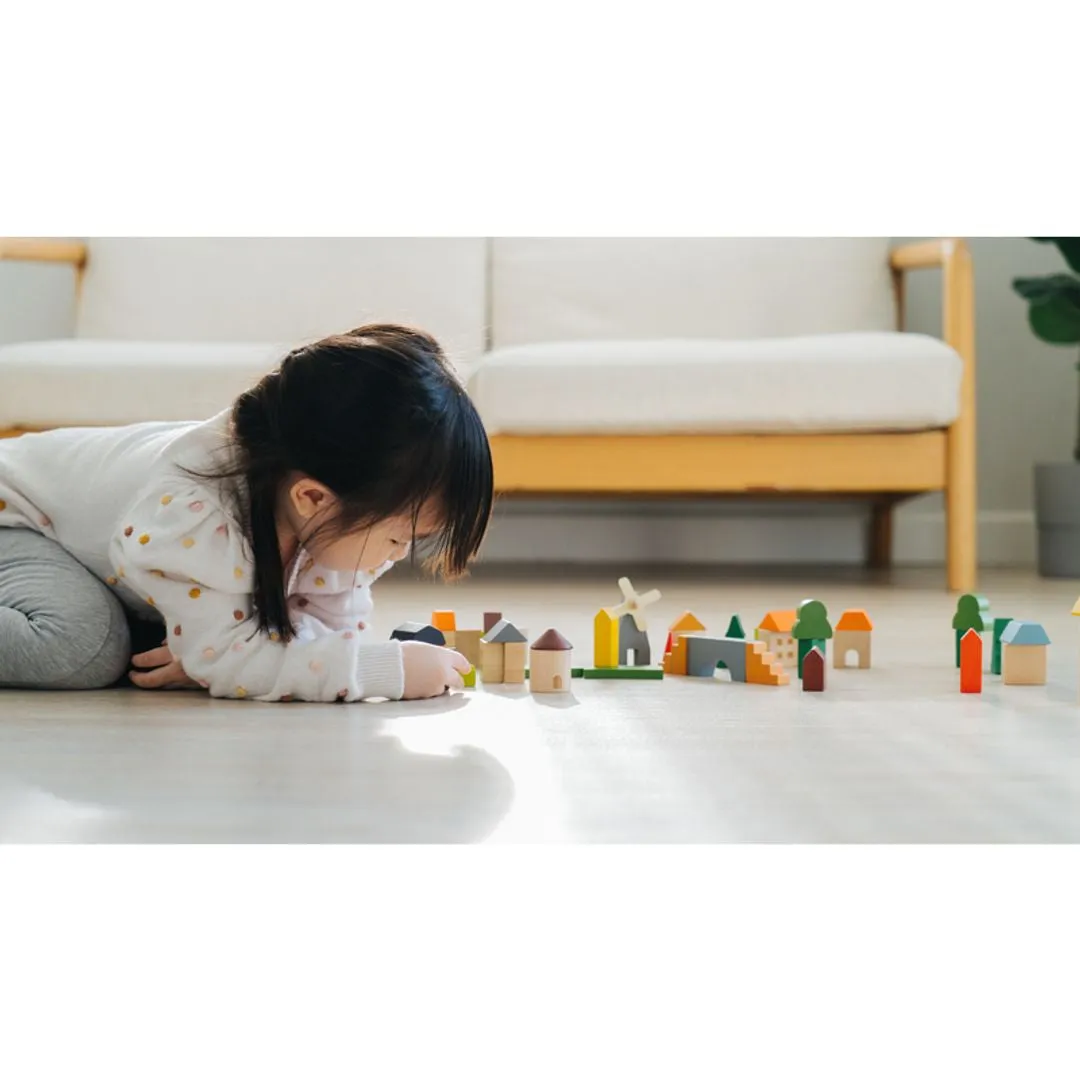 PlanToys Countryside Blocks cubes campagne 45 pièces