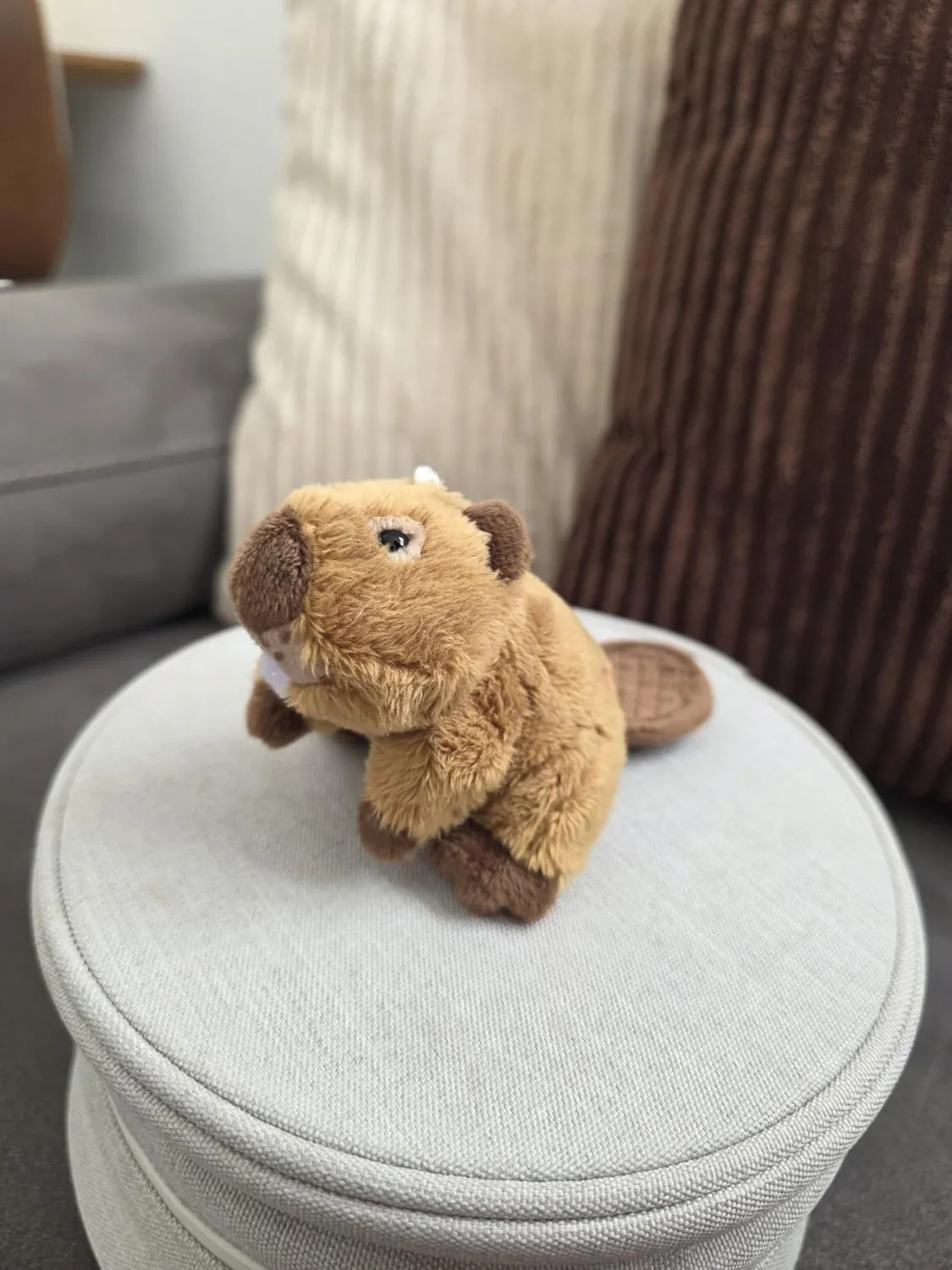 Trudi Sweet Collection Castor mini peluche porte-clés 11 cm