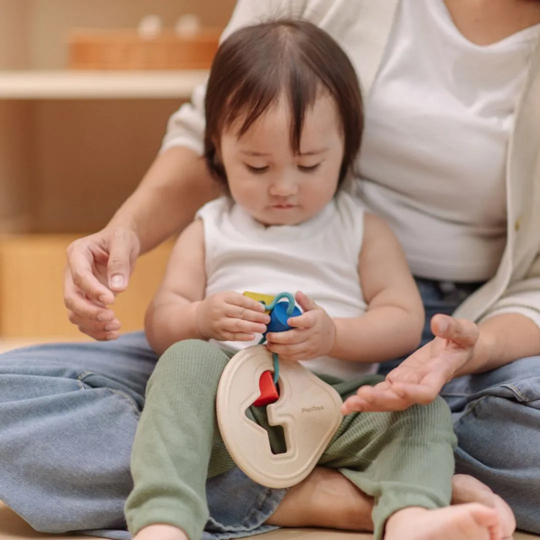PlanToys First Shape Sorter trieur de formes bébé dès 12 mois