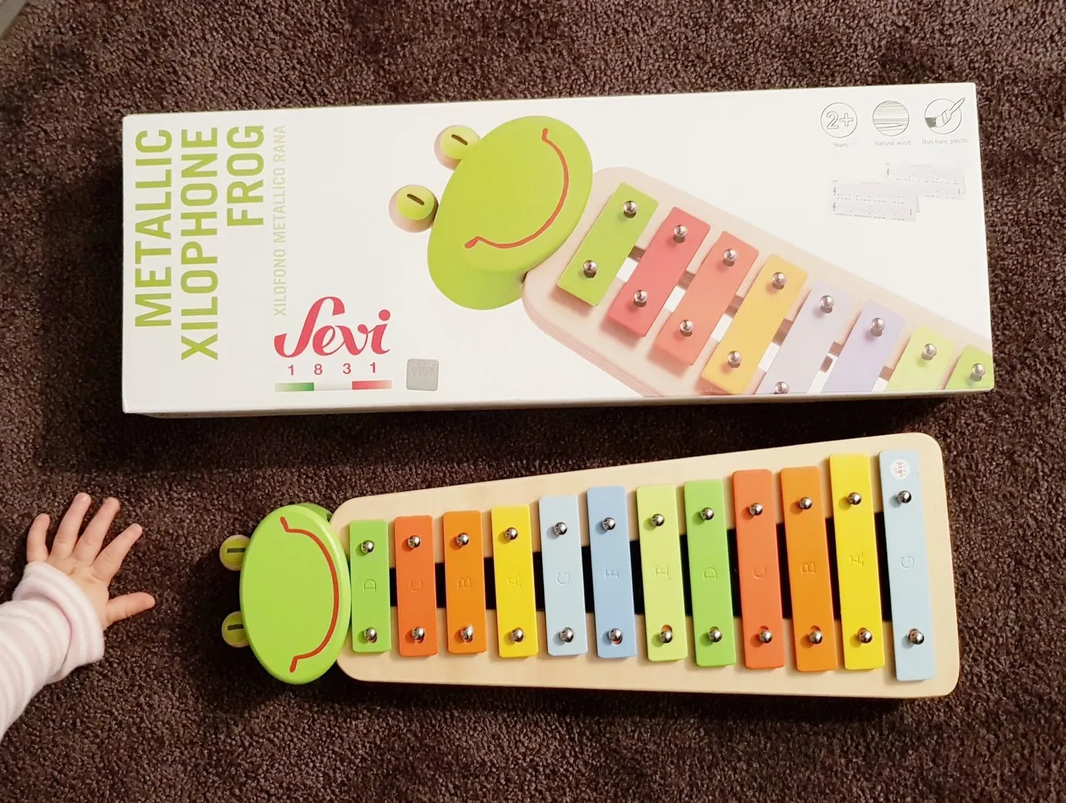 Sevi 82539 xylophone grenouille métal 12 lames