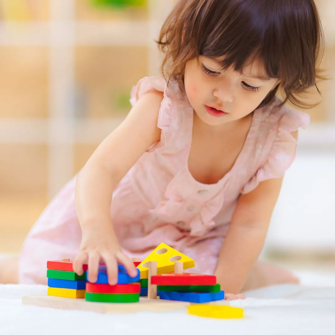 PlanToys Geometric Sorting Board jeu de tri formes en bois