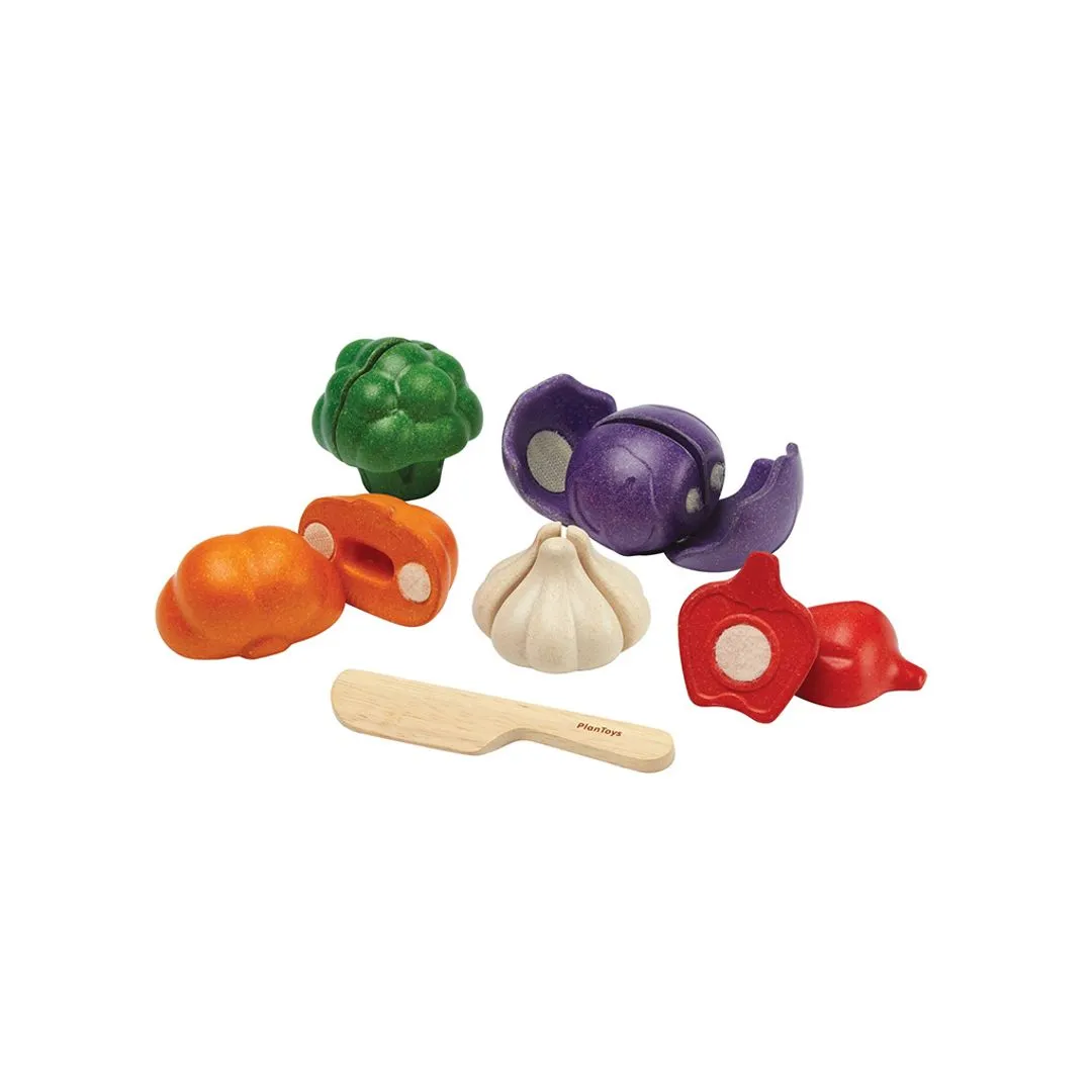 PlanToys Veggie dinette légumes à découper 5 couleurs