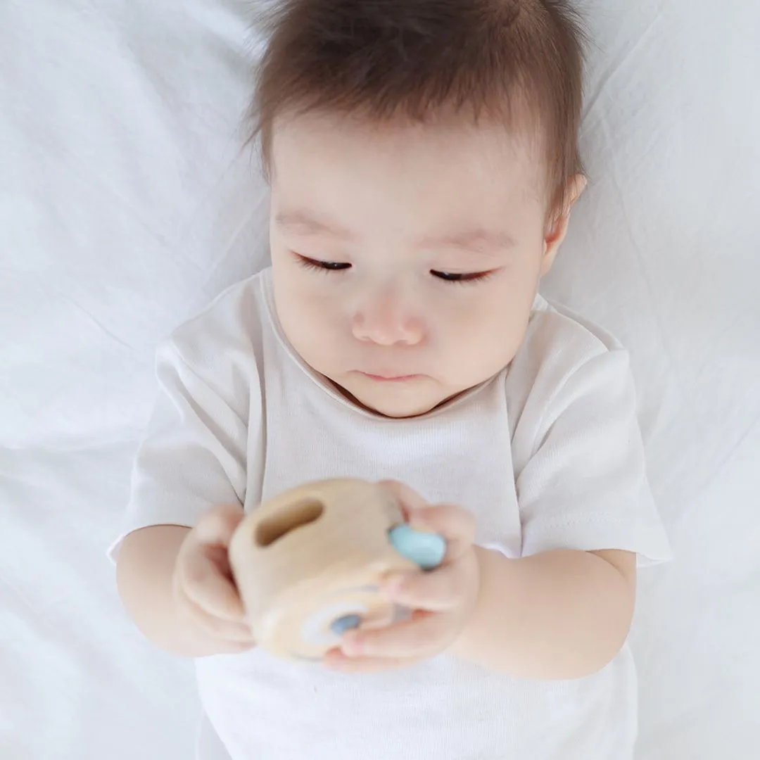 PlanToys Peek-A-Boo Roller rouleau bébé bois 6 mois