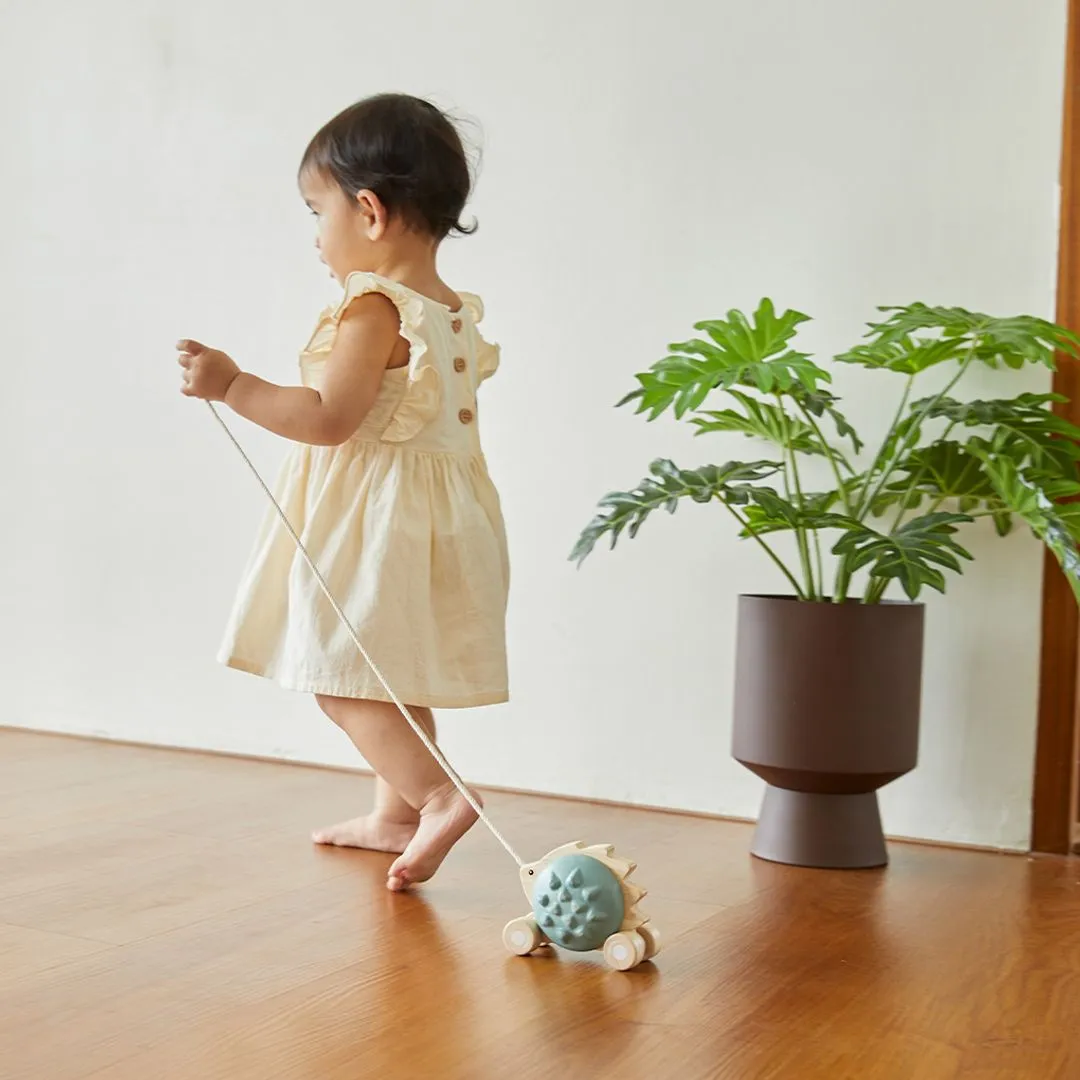 PlanToys Hérisson bleu jouet à tirer 12 mois