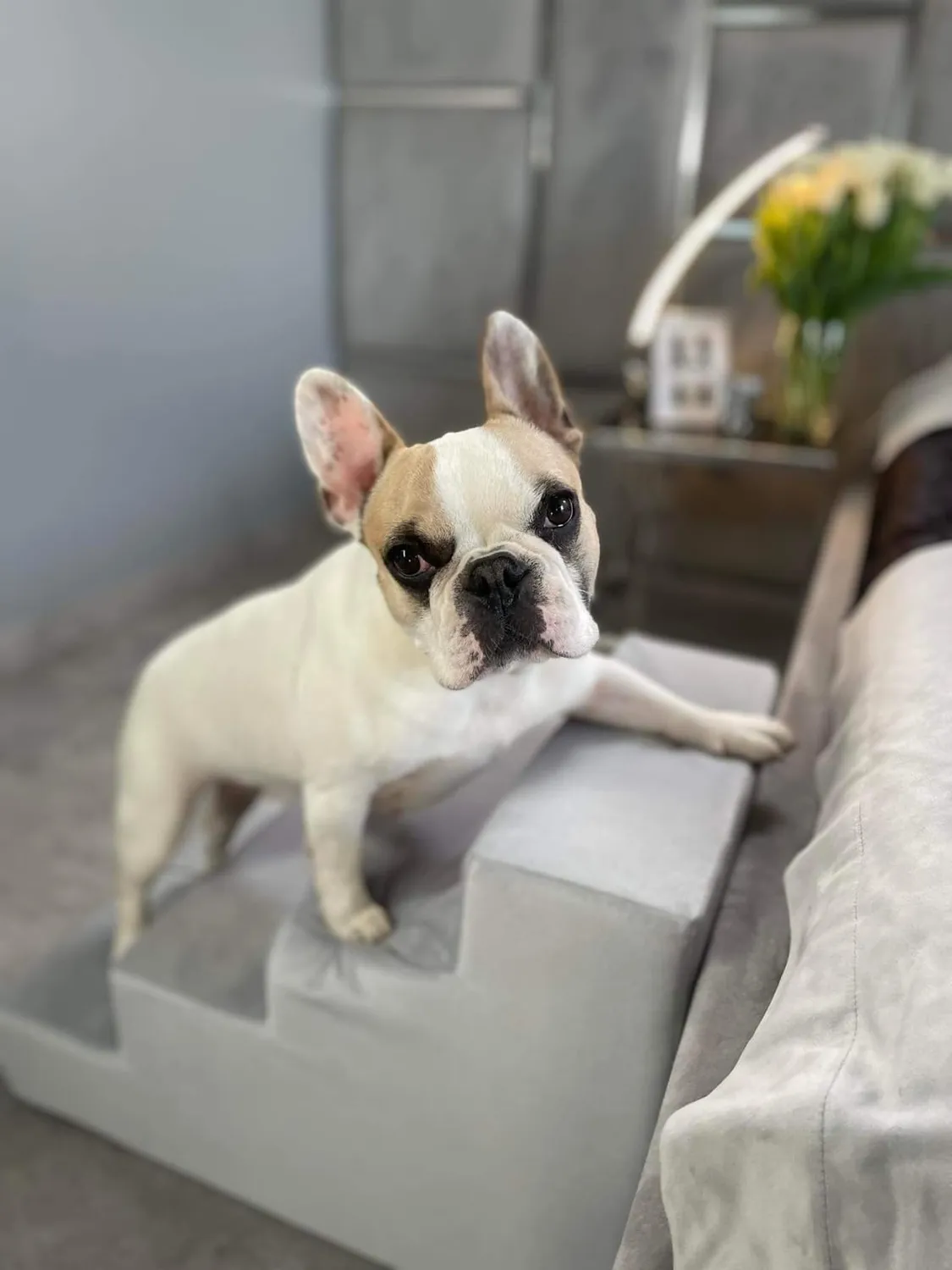 Velinda escalier mousse chien chat 4 marches rose