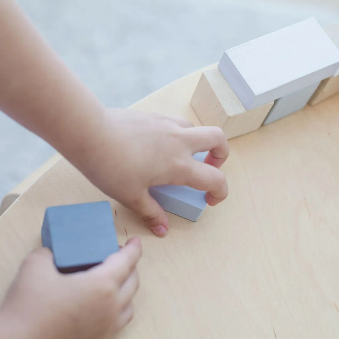 PlanToys Fraction Blocks blocs fractions géométrie 18 mois