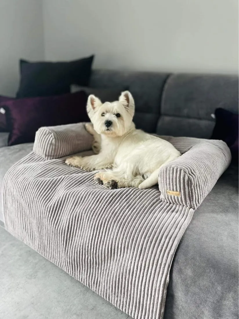 Velinda lit pour chien canapé bleu marine velours côtelé