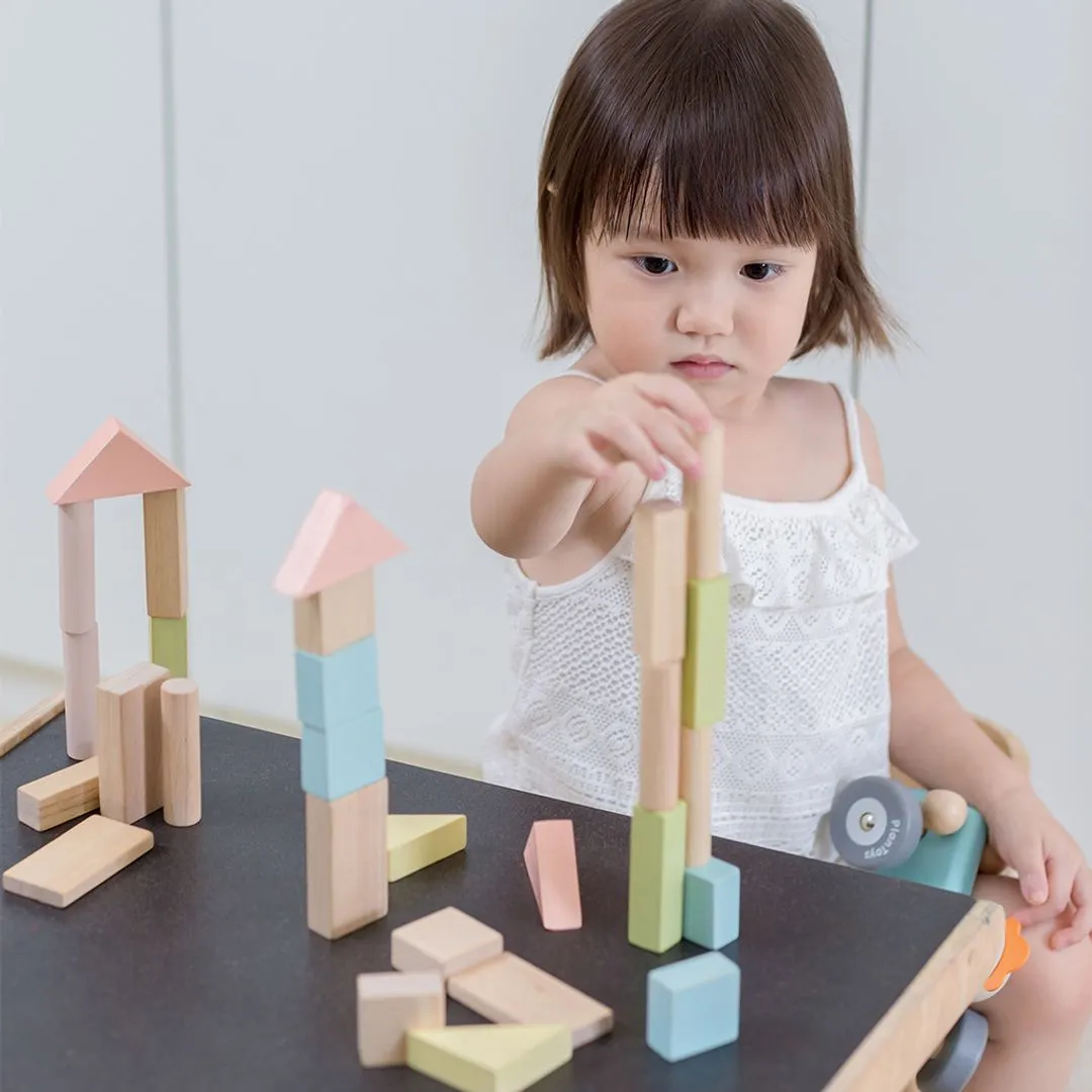 PlanToys 40 Unit Blocks cubes construction 40 pastel