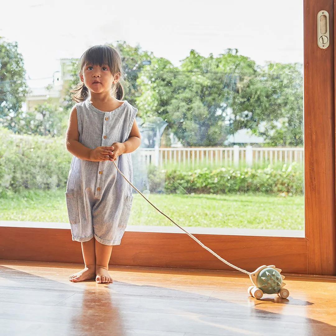 PlanToys Hérisson bleu jouet à tirer 12 mois