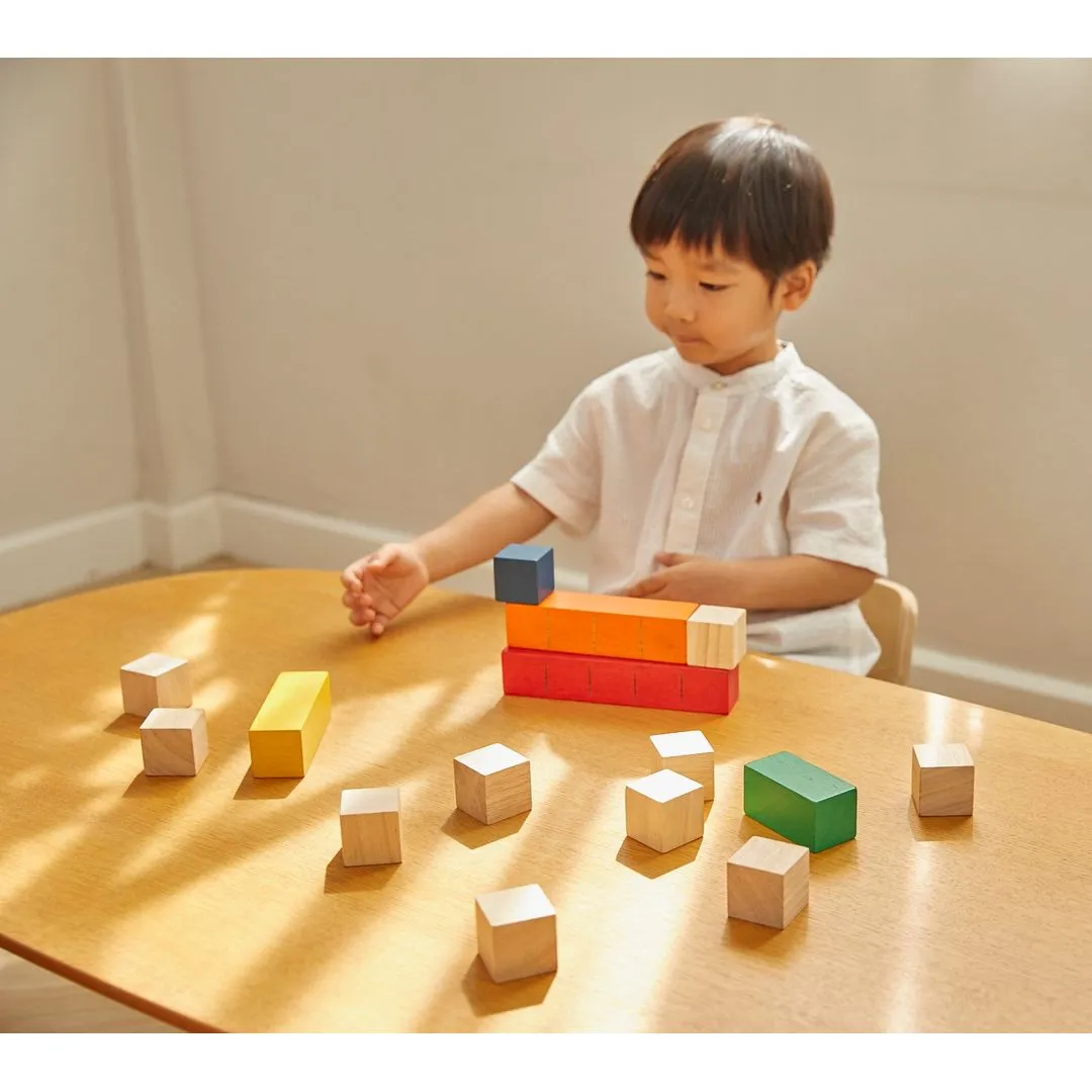 PlanToys Unit Plus Blocs à compter couleur bois 18 mois