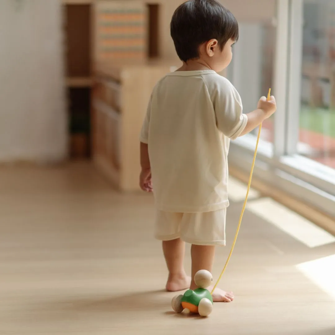 PlanToys Pull-Along Duck jouet à tirer canard en bois 12 mois