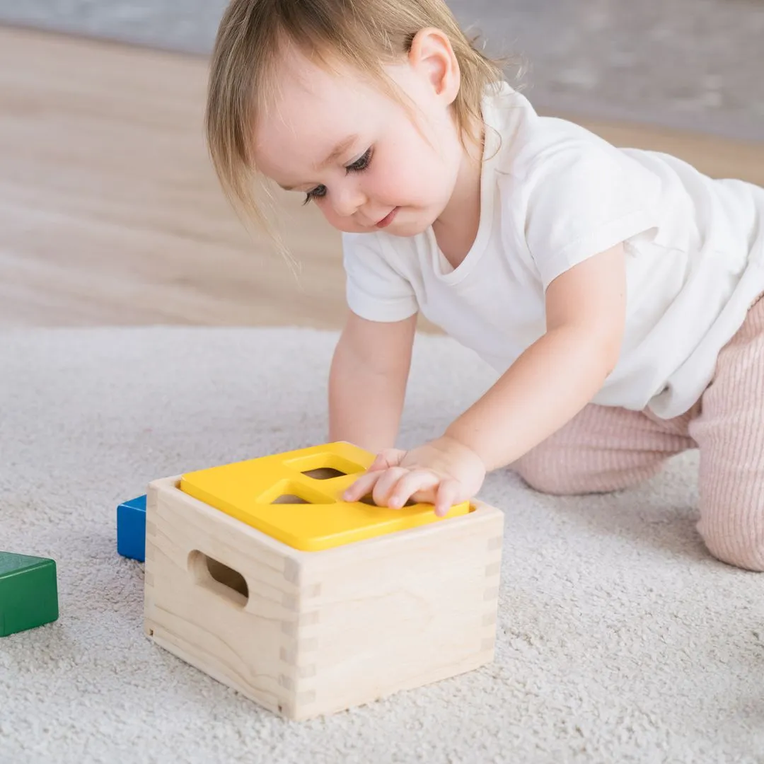 PlanToys Shape & Sort It Out boîte à formes bois 12 mois