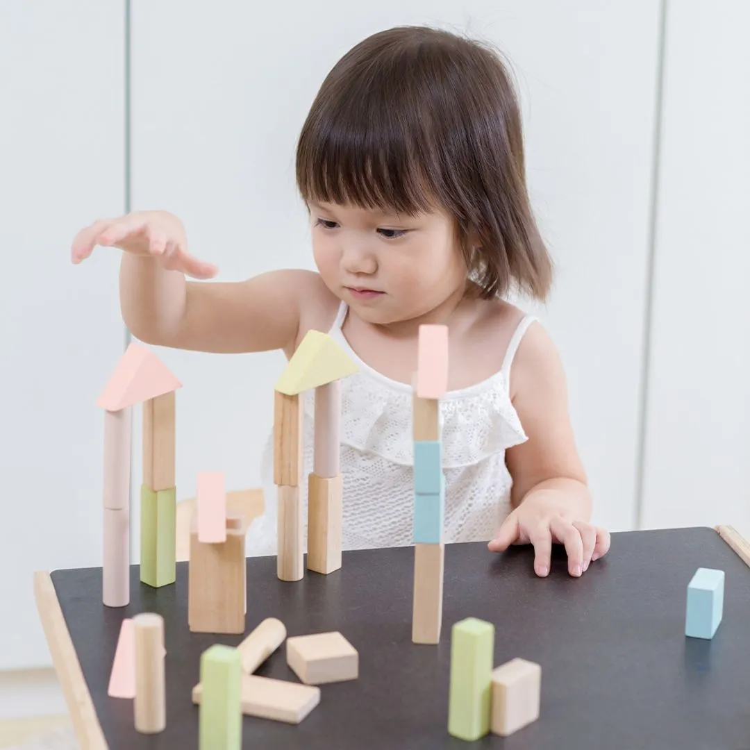 PlanToys 40 Unit Blocks cubes construction 40 pastel