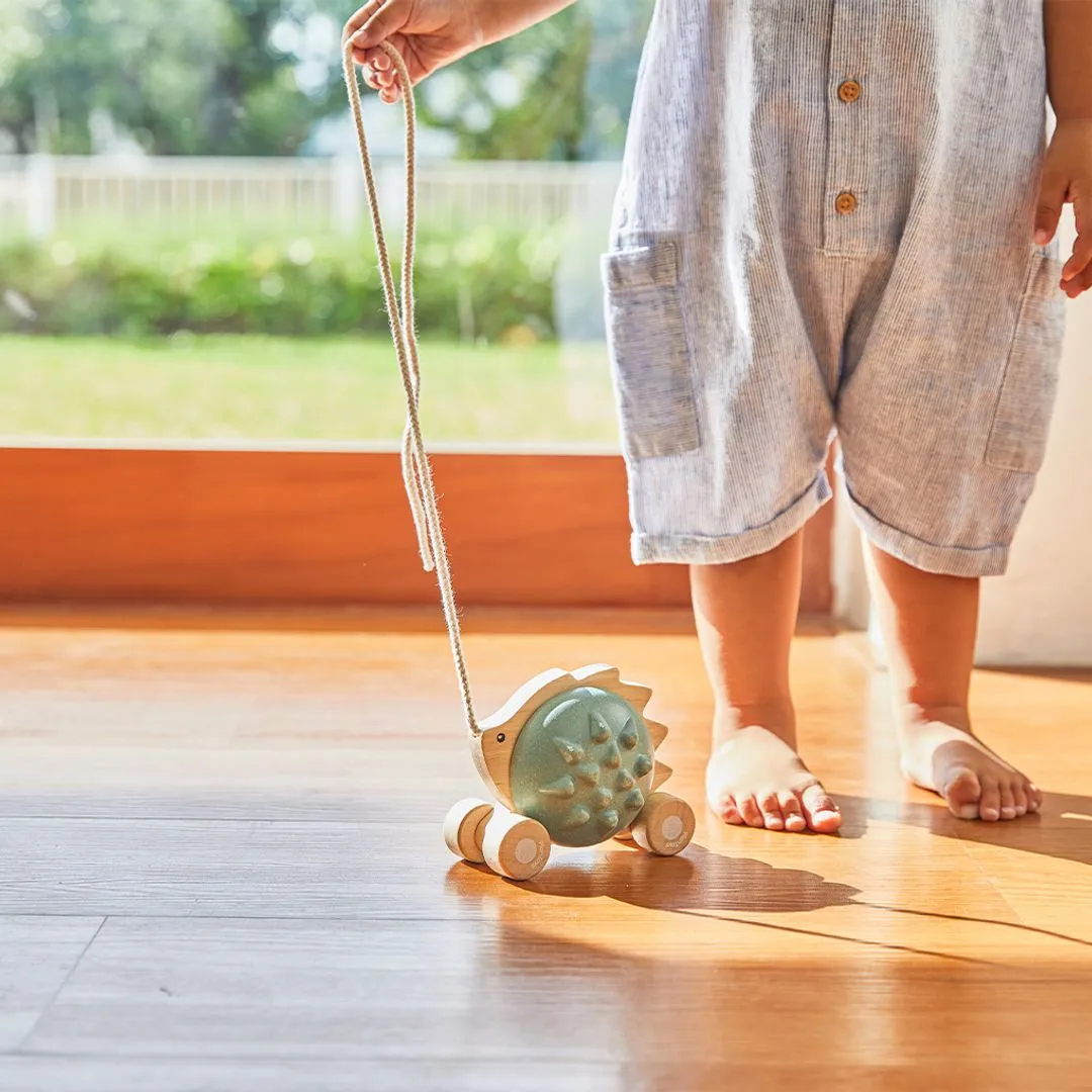 PlanToys Hérisson bleu jouet à tirer 12 mois